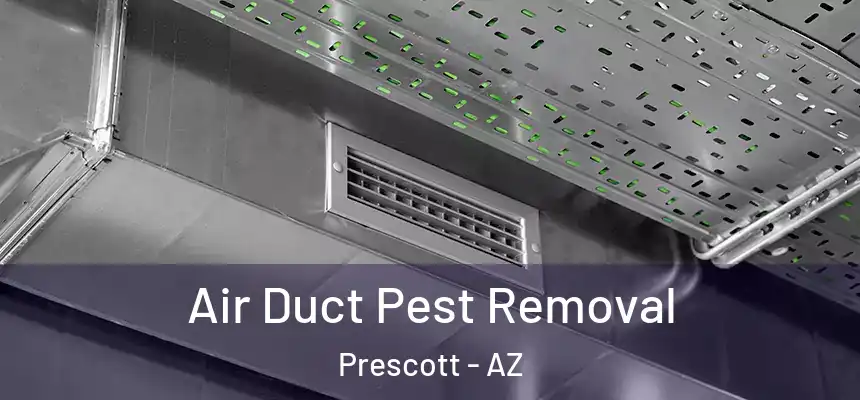  Air Duct Pest Removal Prescott - AZ