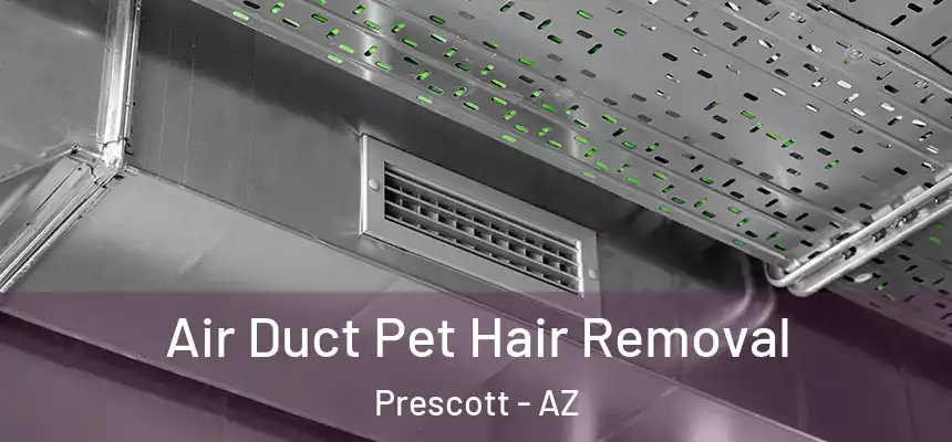  Air Duct Pet Hair Removal Prescott - AZ