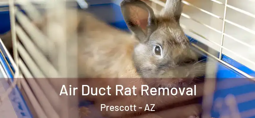  Air Duct Rat Removal Prescott - AZ