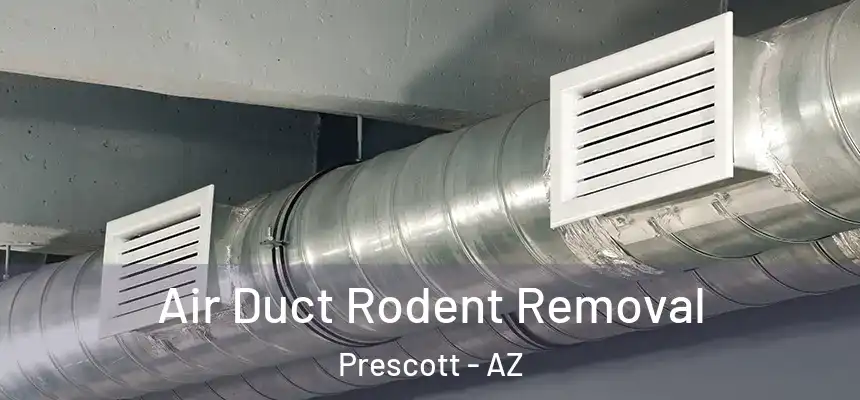Air Duct Rodent Removal Prescott - AZ