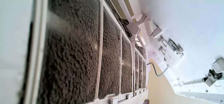 Preventive Air Duct Bacteria Removal in Prescott