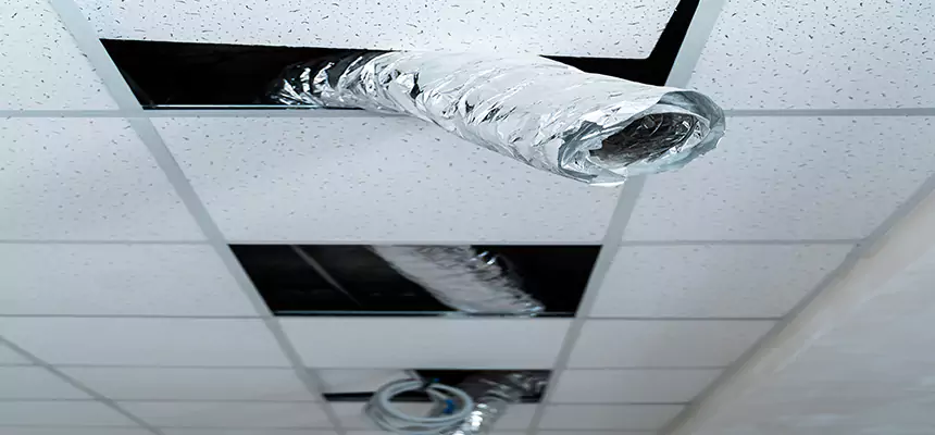 Affordable HVAC Sanitizing After Pest Removal in Prescott