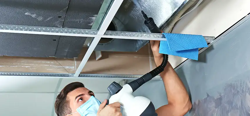 Our Air Duct Rodent Removal Services in Prescott, AZ