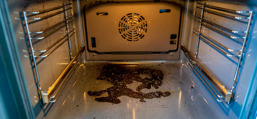 Our Dryer Vent Mold Cleaning Services in Prescott, AZ