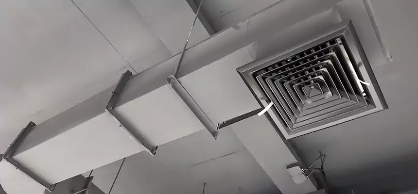 Our Pest Removal From Ducts Services in Prescott, AZ