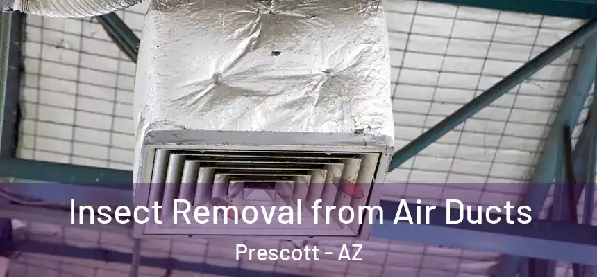 Insect Removal from Air Ducts Prescott - AZ