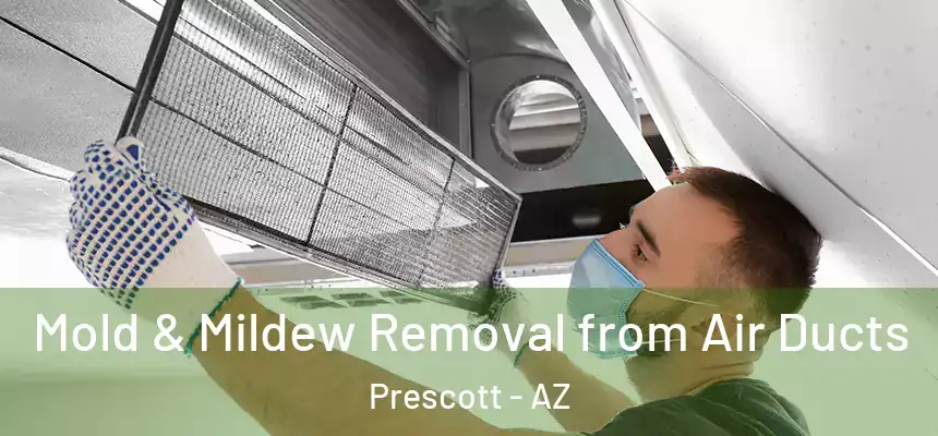 Mold & Mildew Removal from Air Ducts Prescott - AZ
