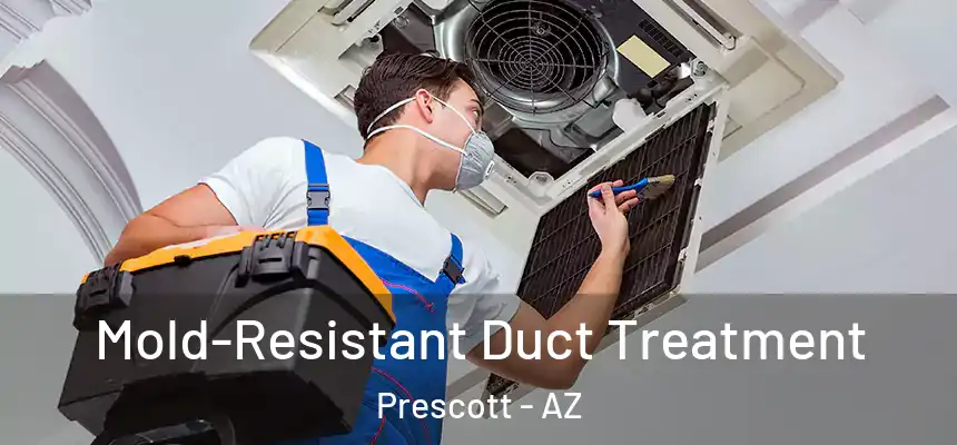  Mold-Resistant Duct Treatment Prescott - AZ