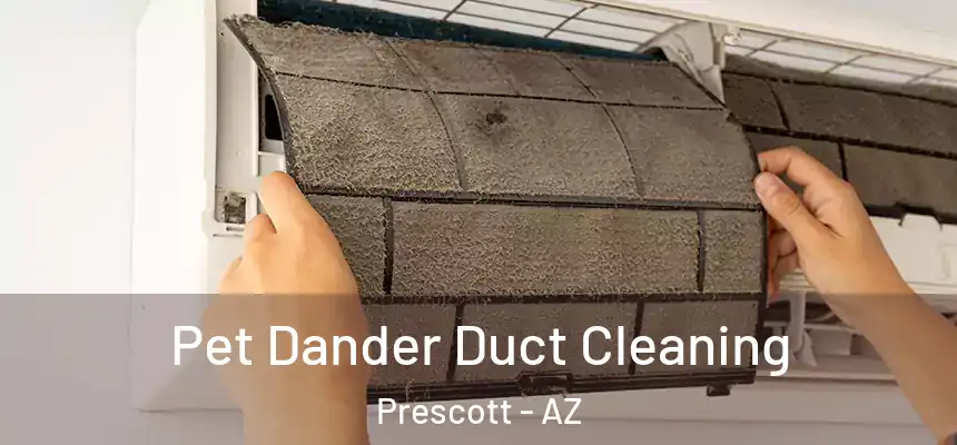 Pet Dander Duct Cleaning Prescott - AZ