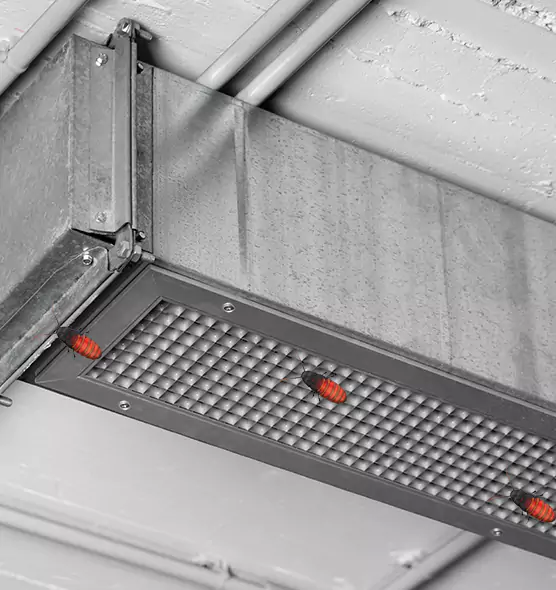 About Air Duct Cockroach Removal in Prescott, AZ