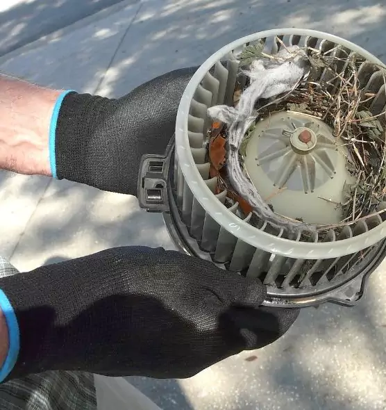 About Air Duct Mice Removal in Prescott, AZ