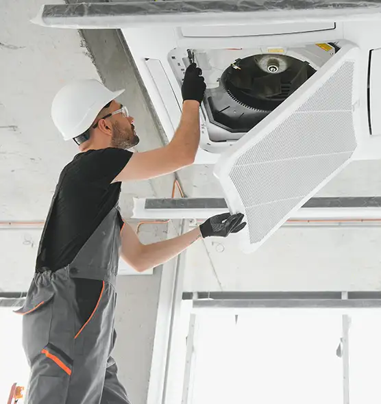 About Air Duct Rodent Removal in Prescott, AZ