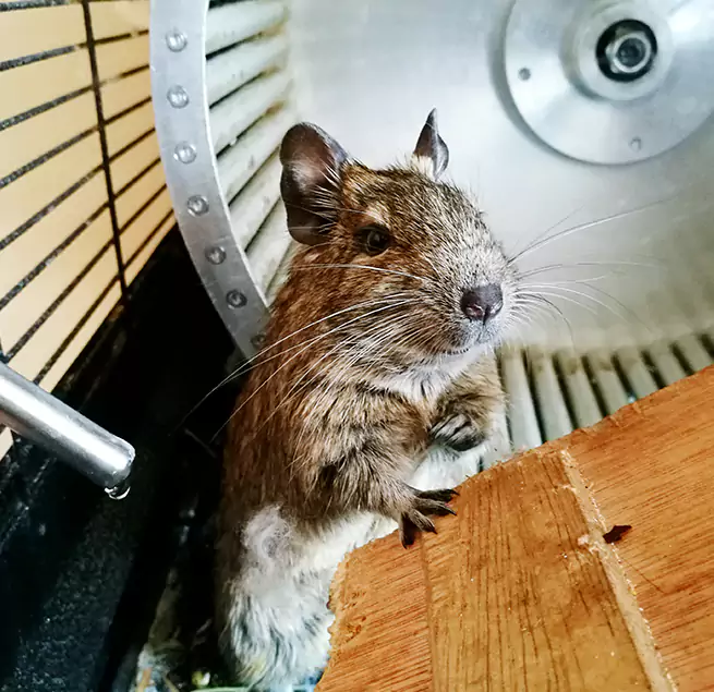 Why Homeowners & Businesses Trust Us Prescott, AZ?