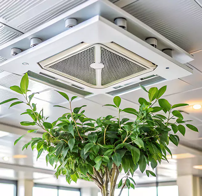 Why Homeowners & Businesses Trust Us in Prescott, AZ?